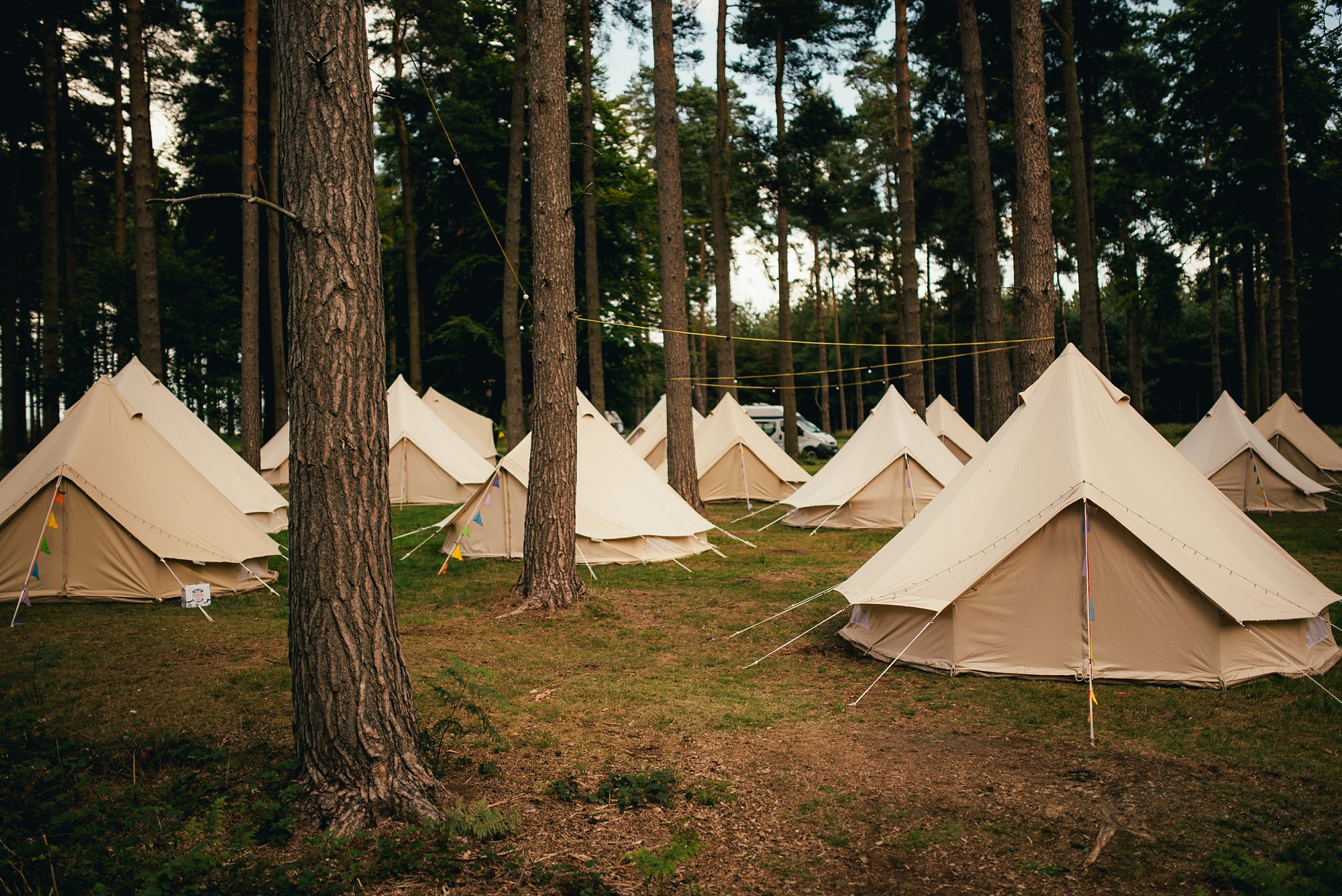 forest woodland wedding
