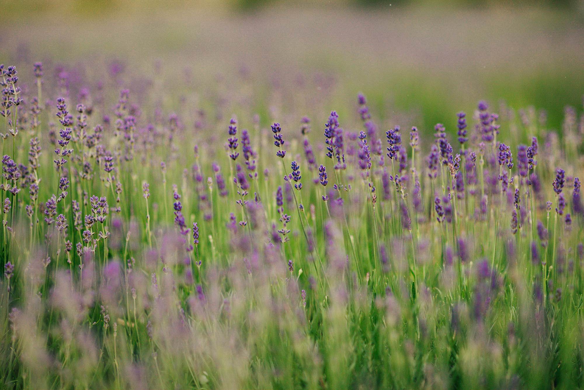 Church Farm Tipi Wedding-111